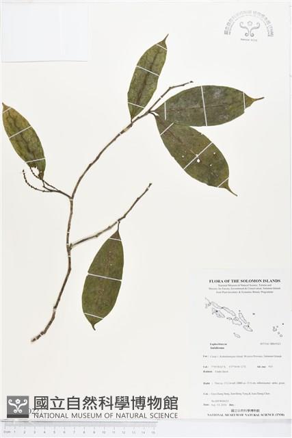 登錄號:BS05022藏品圖，第1張