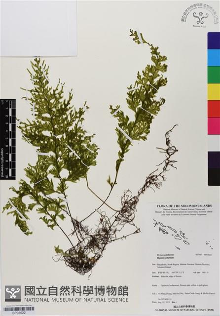 登錄號:BP03022藏品圖，第1張