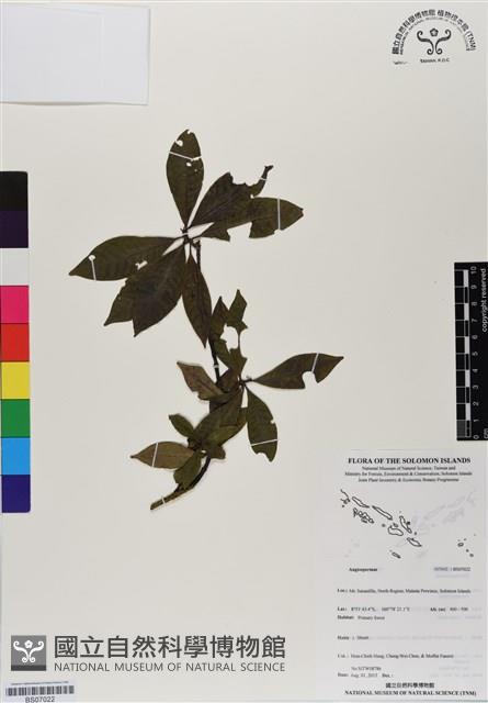 登錄號:BS07022藏品圖，第1張