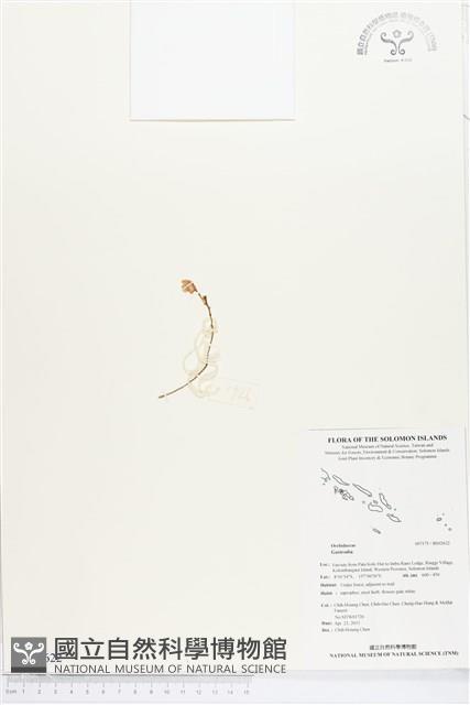 登錄號:BS02622藏品圖，第1張