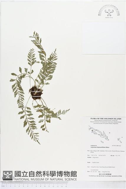 登錄號:BP01622藏品圖，第1張