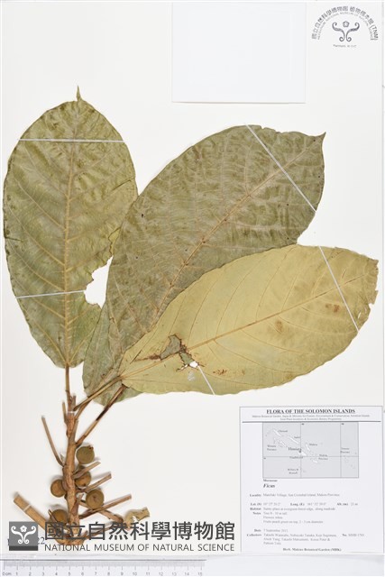 登錄號:BS01622藏品圖，第1張