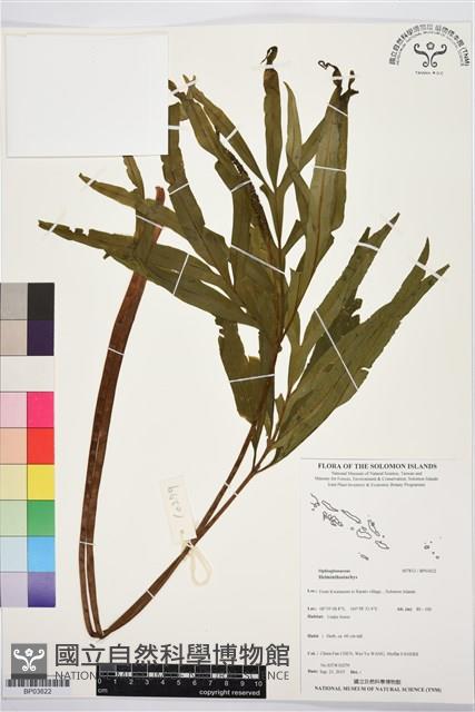 登錄號:BP03622藏品圖，第1張