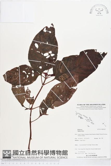 登錄號:BS03622藏品圖，第1張