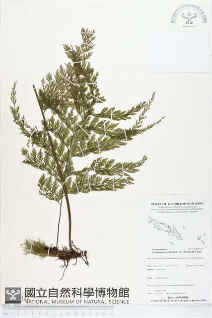 登錄號:BP02122藏品圖，第1張