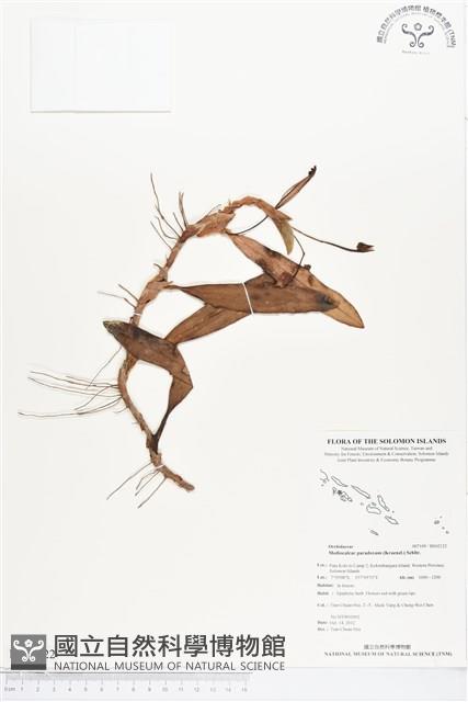 登錄號:BS02122藏品圖，第1張