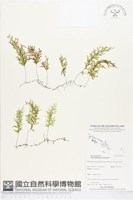 登錄號:BP01122藏品圖，第1張