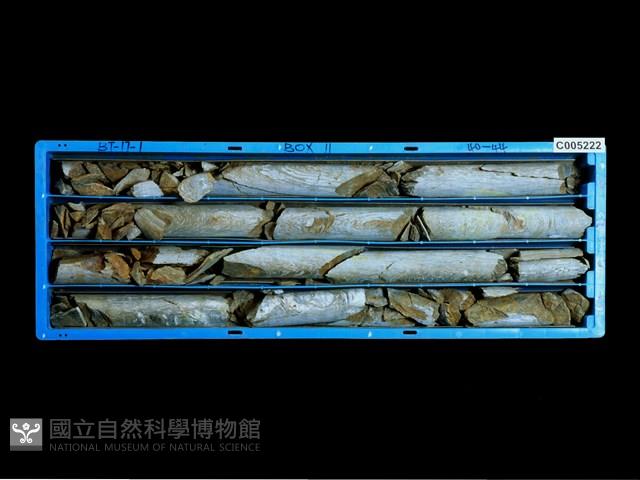 登錄號:C005222藏品圖，第1張