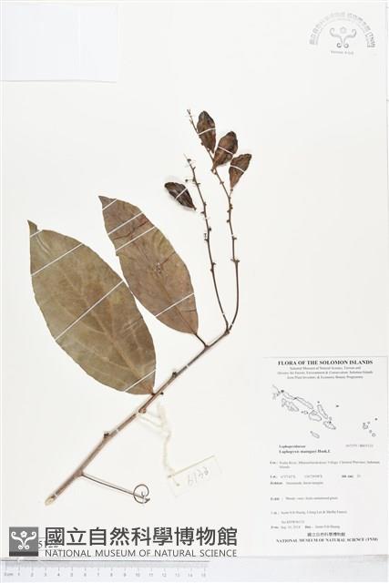 登錄號:BS05122藏品圖，第1張