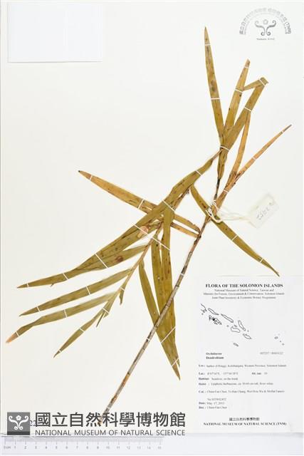 登錄號:BS03122藏品圖，第1張