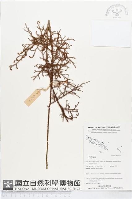 登錄號:BP02422藏品圖，第1張