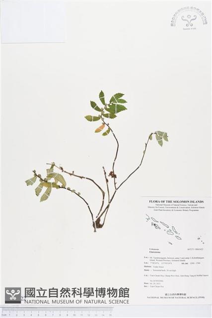 登錄號:BS03422藏品圖，第1張