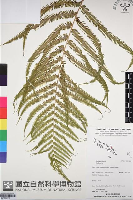 登錄號:BP03222藏品圖，第1張