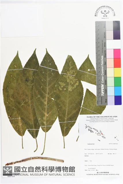 登錄號:BS07222藏品圖，第1張