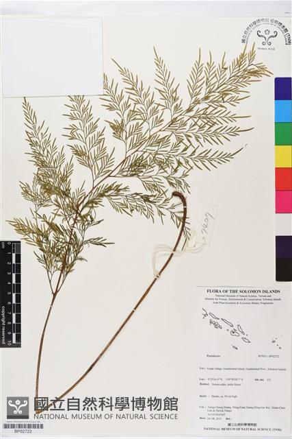 登錄號:BP02722藏品圖，第1張