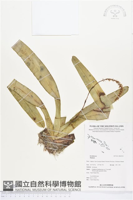 登錄號:BS02522藏品圖，第1張