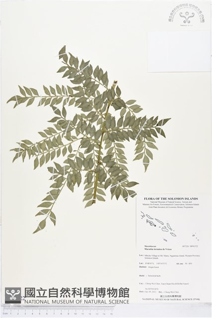 登錄號:BP01522藏品圖，第1張