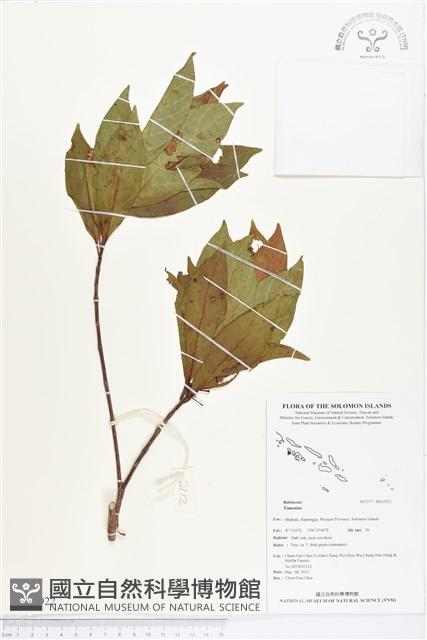 登錄號:BS02922藏品圖，第1張