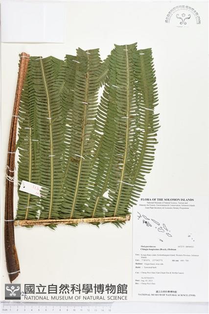 登錄號:BP00922藏品圖，第1張