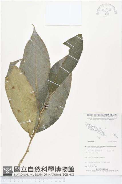 登錄號:BS04922藏品圖，第1張