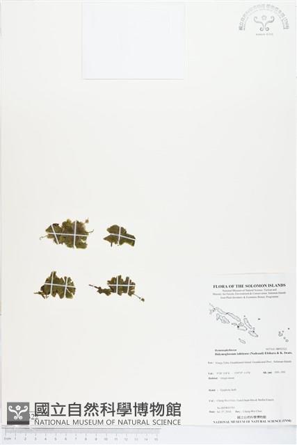 登錄號:BP02322藏品圖，第1張