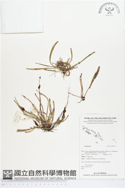 登錄號:BS02322藏品圖，第1張