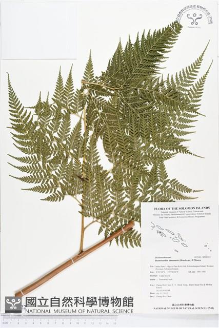 登錄號:BP00322藏品圖，第1張