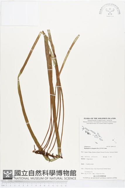 登錄號:BP01322藏品圖，第1張