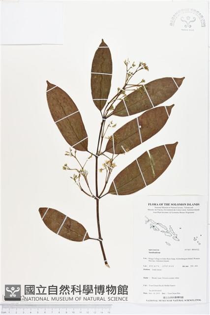 登錄號:BS04322藏品圖，第1張