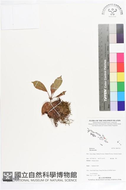 登錄號:BS07322藏品圖，第1張