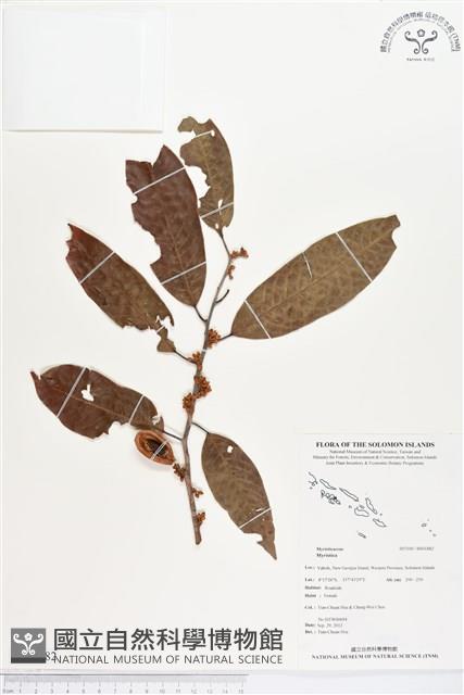 登錄號:BS01882藏品圖，第1張