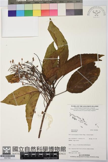 登錄號:BS07882藏品圖，第1張