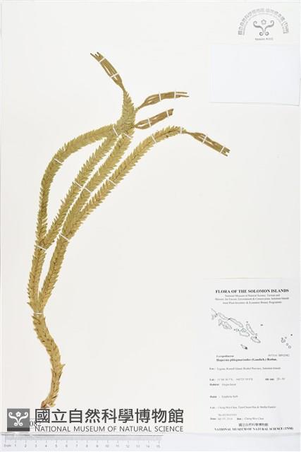 登錄號:BP02082藏品圖，第1張