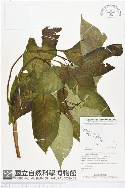 登錄號:BS02082藏品圖，第1張