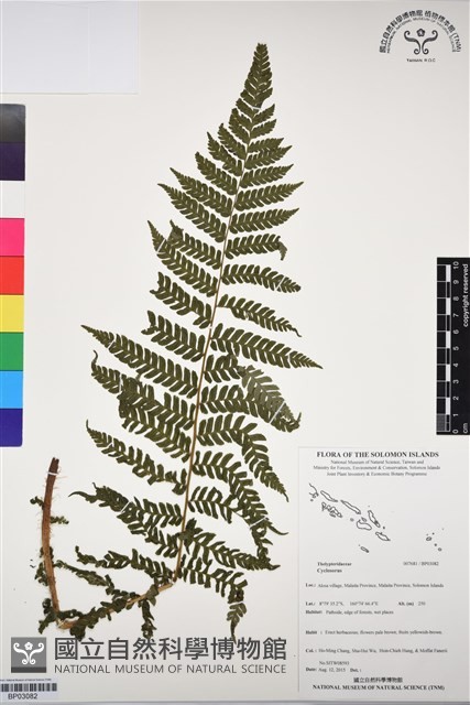 登錄號:BP03082藏品圖，第1張