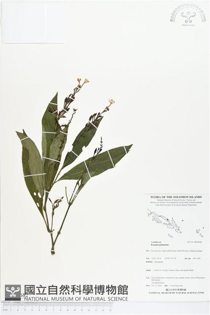 登錄號:BS04682藏品圖，第1張