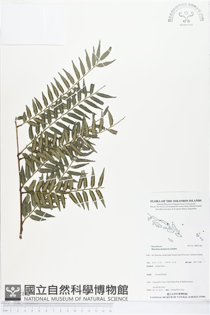 登錄號:BP02182藏品圖，第1張