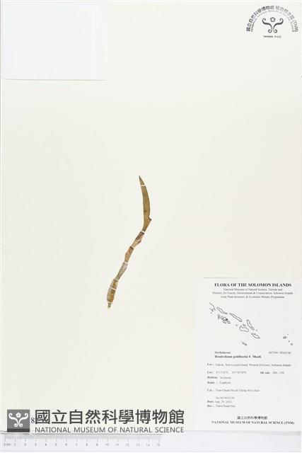 登錄號:BS02182藏品圖，第1張