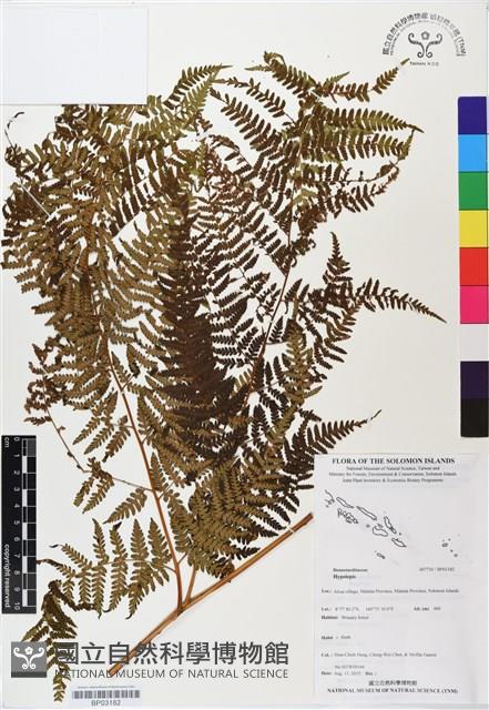 登錄號:BP03182藏品圖，第1張
