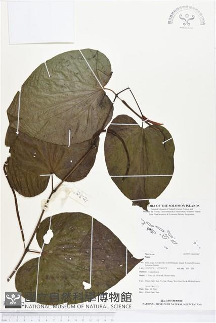 登錄號:BS03182藏品圖，第1張