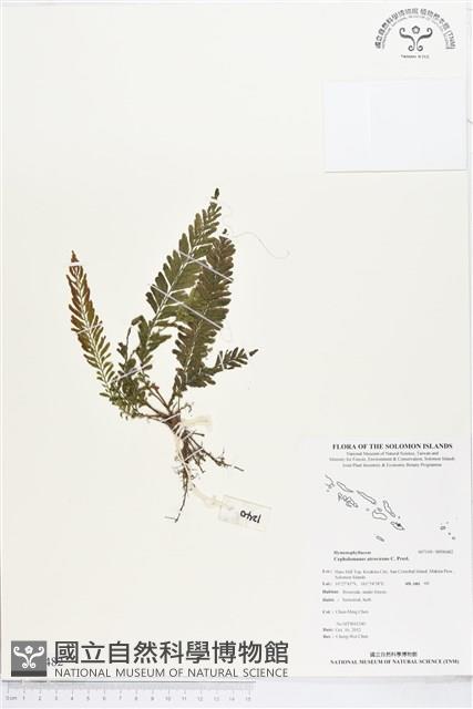 登錄號:BP00482藏品圖，第1張