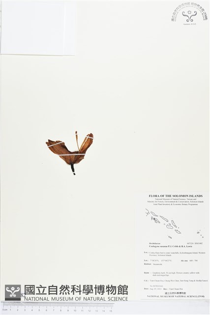 登錄號:BS03482藏品圖，第1張