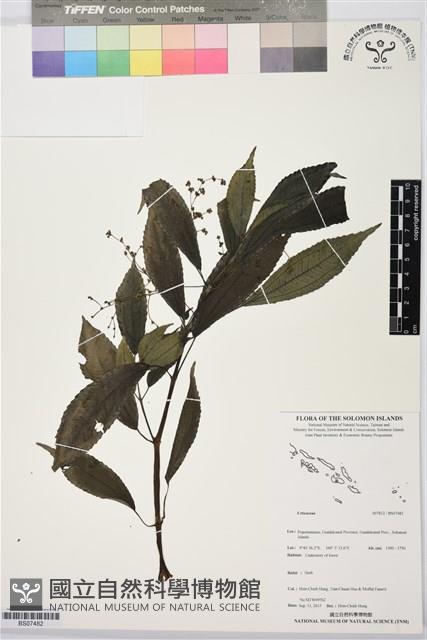 登錄號:BS07482藏品圖，第1張