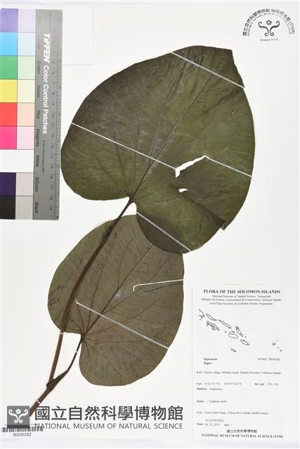 登錄號:BS06282藏品圖，第1張