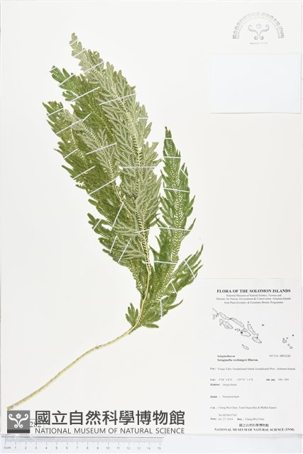 登錄號:BP02282藏品圖，第1張