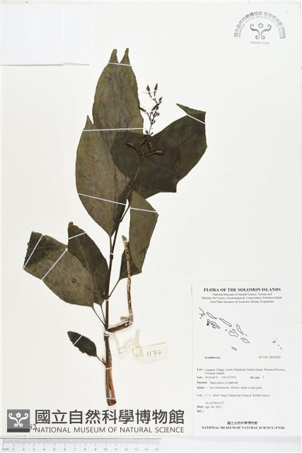 登錄號:BS02282藏品圖，第1張