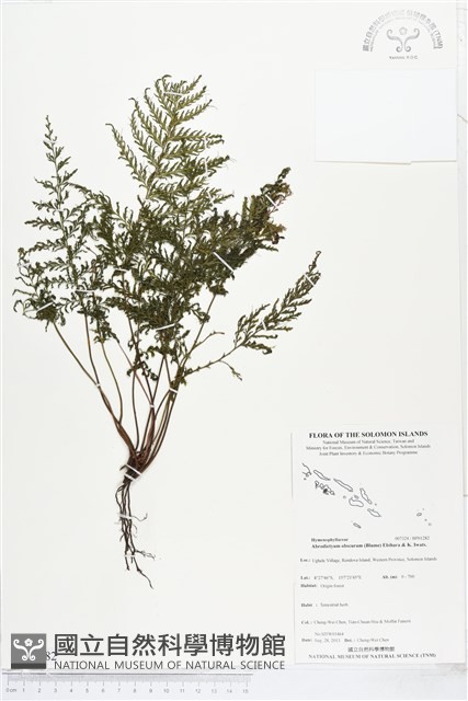 登錄號:BP01282藏品圖，第1張