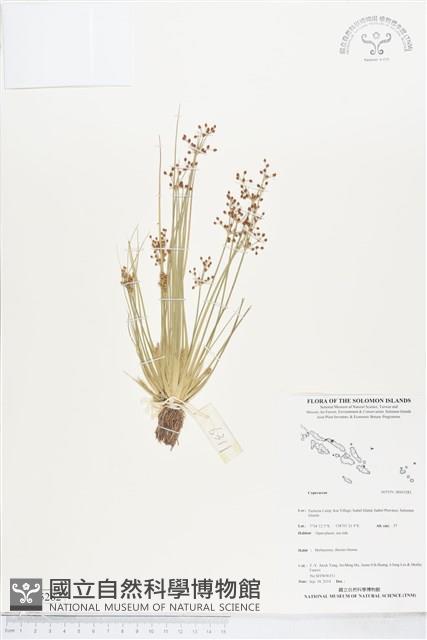 登錄號:BS05282藏品圖，第1張