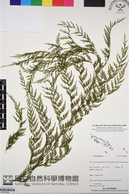 登錄號:BP03282藏品圖，第1張