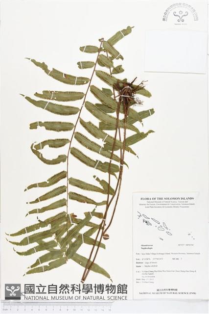 登錄號:BP00782藏品圖，第1張